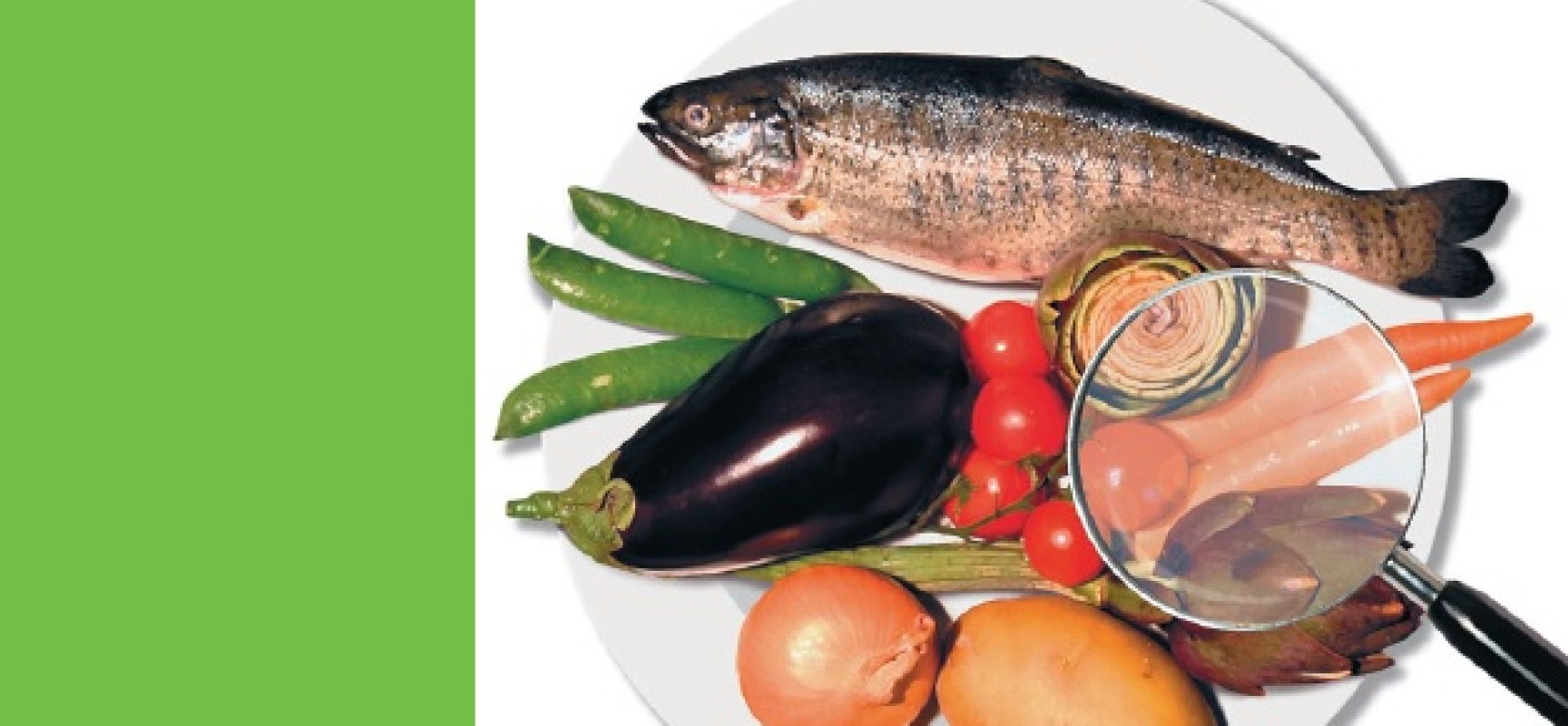 PREZI – Aggiornamento Formazione Alimentaristi PREZI – Aggiornamento Formazione Alimentaristi